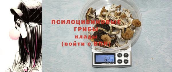 мяу мяу мука Арсеньев
